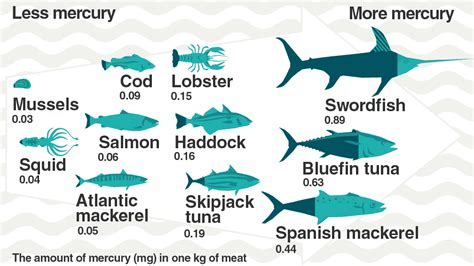 Mercury Levels In Fish Increasing Grade 9 Science Journal 2022