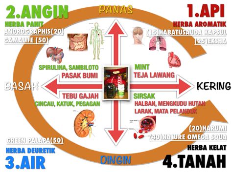Esensi, dalam faham ibnu sina terdapat dalam akal, sedang wujud terdapat di. Dari keempat klasifikasi diatas, Ibnu Sinamembagi sifat ...