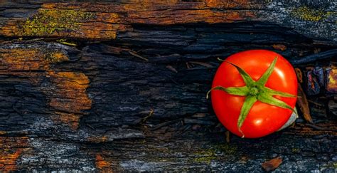 History Of The Tomato A Poisonous Reputation And Fruit Fights Manyeats