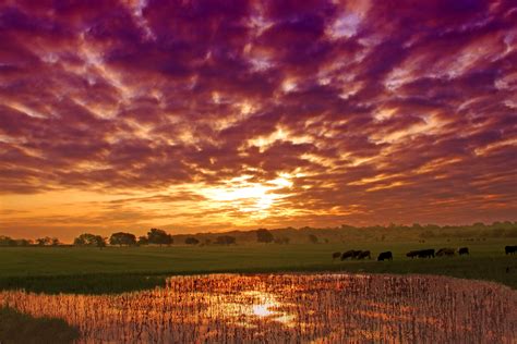 Wallpaper Sunlight Landscape Sunset Nature Reflection Grass
