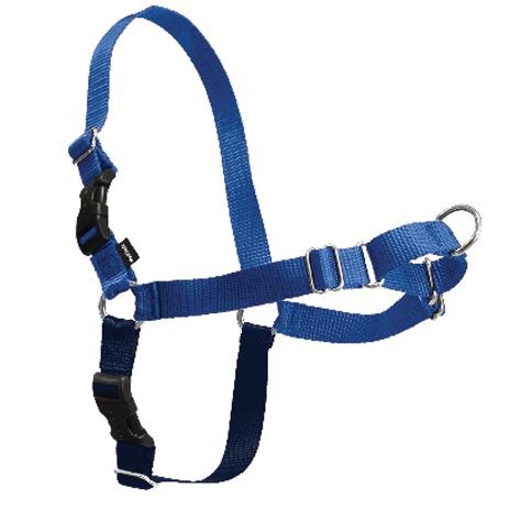 PetSafe Easy Walk Royal Blue Dog Harness, Small/Medium | Petco | Easy