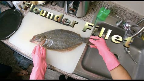 Whip up one of these recipes for dinner tonight. fresh flounder fillet - YouTube