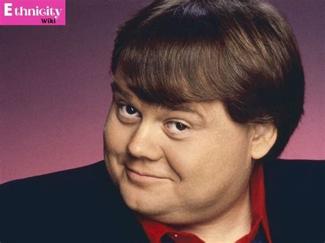 Louie Anderson Ethnicity Parents Wiki Biography Age Wife