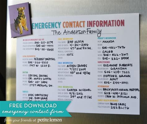 printable emergency contact information sheet
