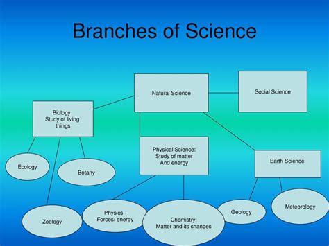 Branches Of Science Chart