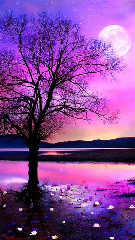 Your moon night stock images are ready. Pink romantic night | Beautiful nature wallpaper ...