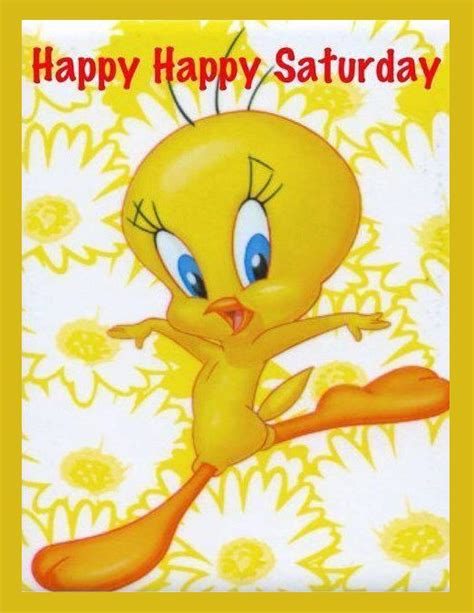 Tweety Bird Happy Happy Saturday Pictures Photos And Images For