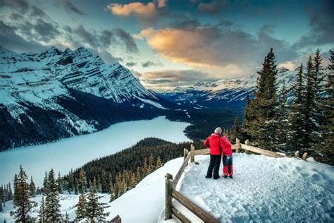 Exciting Winter Activities To Do In Calgary Premiere Suites