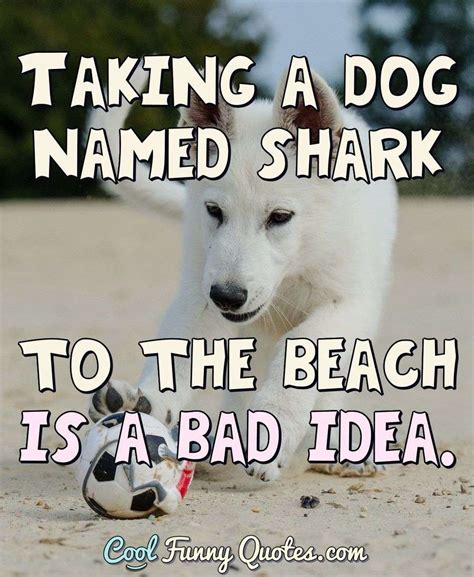 Taking a dog named shark to the beach is a bad idea.