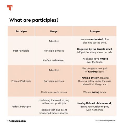 What Is A Participle Thesaurus Com