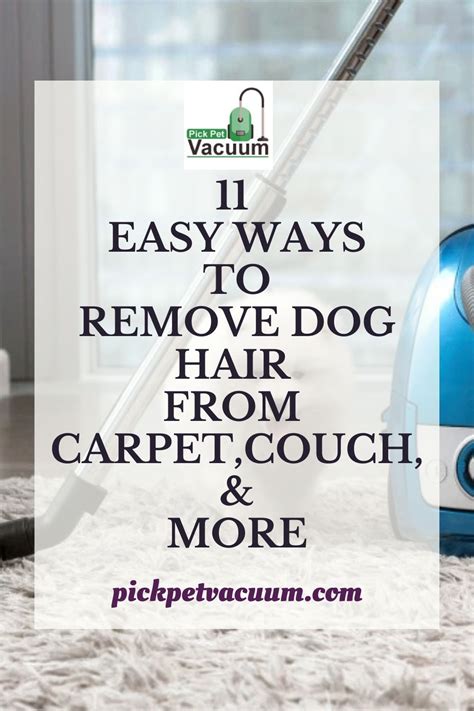 Your pet enjoys a massage while the hair peels away and sticks to the glove. 11 Easy Ways to Remove Dog Hair from Carpet, Couch, & More ...