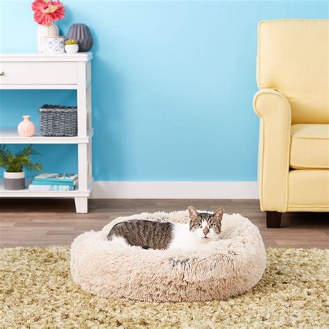 6 Best Cat Beds For Large Cats In 2023 Cat Mania
