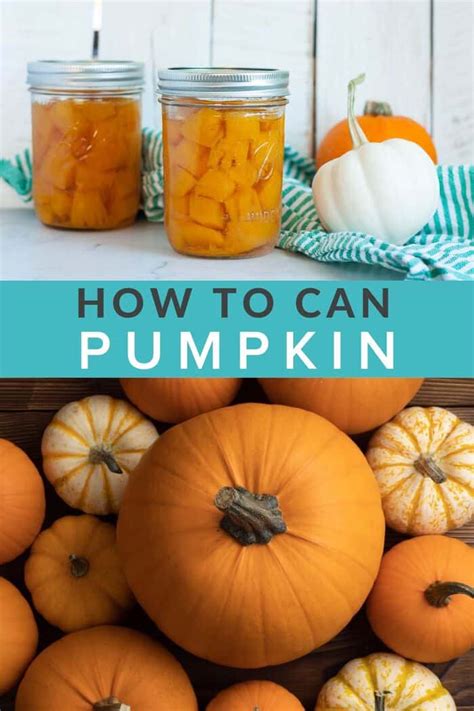 Canning Pumpkin How To Can Pumpkin Sustainable Cooks