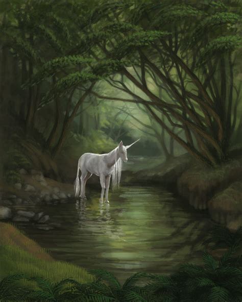 The Unicorns Forest By Characterundefined On Deviantart