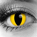 Yellow Cat Eye Contact Lenses by GOTHIKA | Vampfangs