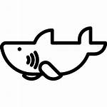 Shark Svg Icon Icons Save Flaticon Edit