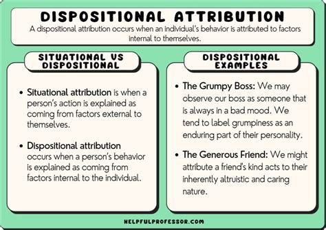 15 Dispositional Attribution Examples 2024