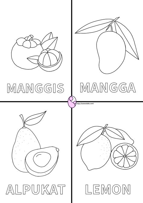 Detail Mewarnai Gambar Buah Mangga Koleksi Nomer 54