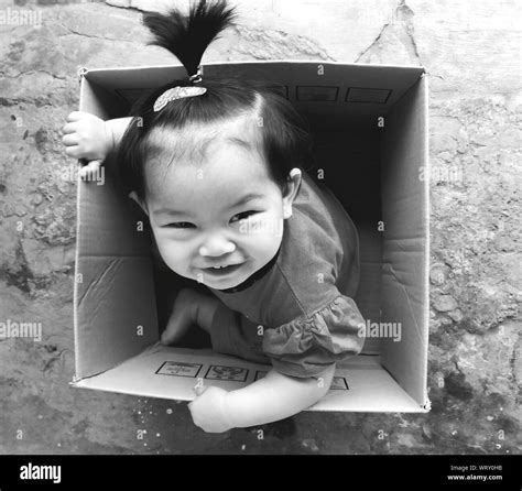 High Angle Portrait Of Cute Baby Girl Sitting In Cardboard Box Stock