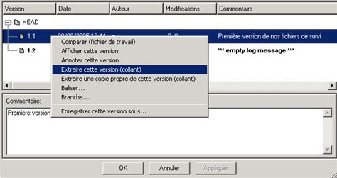 Writing a cv is no easy task. Tutoriel CVS