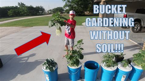 Need a few more planters, but don't want to spend the big bucks to get them? Garden in 5 Gallon Buckets Without Soil!!! DIY Hydroponics ...