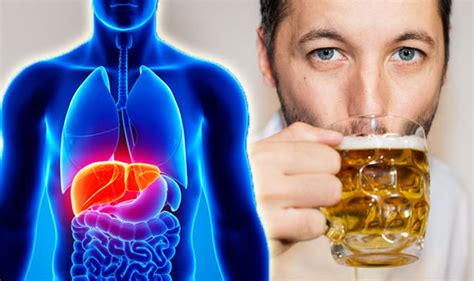 Alcohol Related Liver Disease Maintaining Liver Health Long Term Approach Health Life