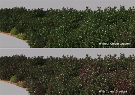 Forest pack is one of the most familiar extensions available for the 3ds max software suite. 3 Forest Pack Tutorials / Tree-Lined Canal - 3D ...