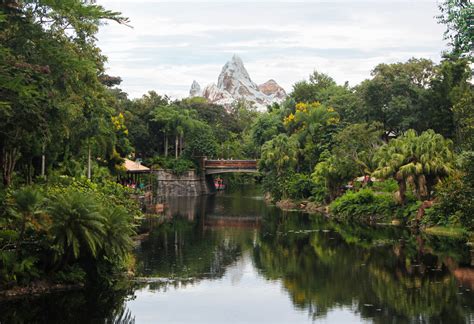 Disney World, Animal Kingdom | THIS IS FANNY