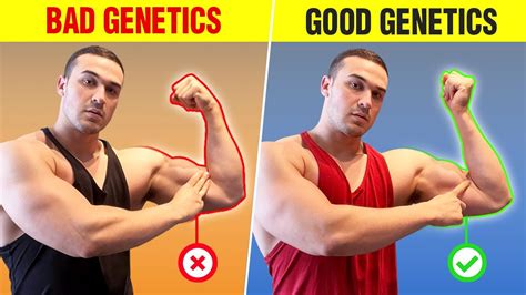 Do You Have Good Or Bad Muscle Building Genetics 5 Signs