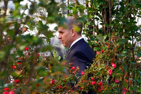 Joe Biden Son Hunter Biden China Antistress Hundebett - vrogue.co