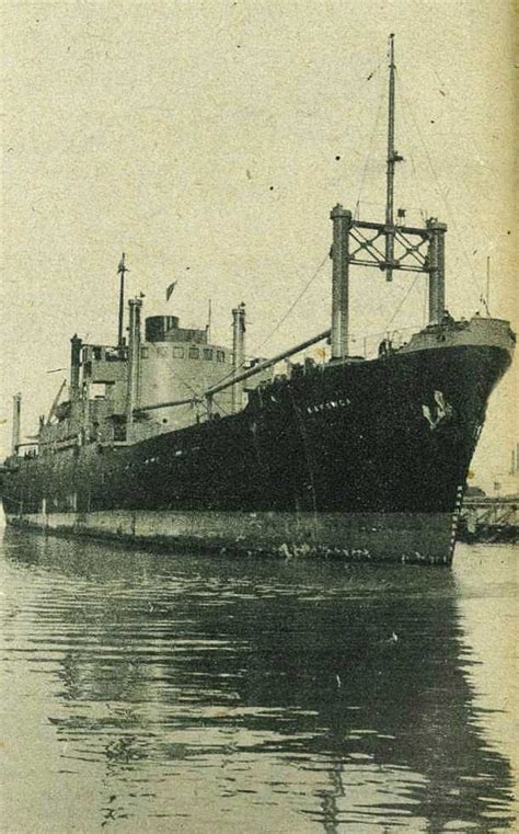 Largest Ship Yet Gisborne Photo News No 16 October 20 1955