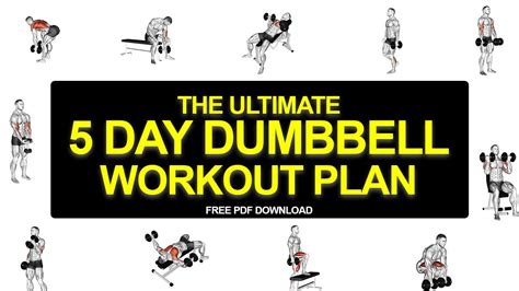 Ultimate 5 Day Dumbbell Workout Plan Free Pdf Youtube
