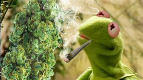 Kermit The Frogs 420 Song Its Real Easy Smoking Green
