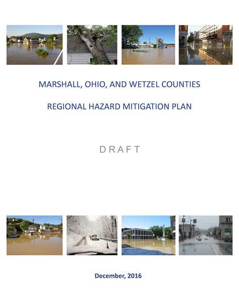 Draft Hazard Mitigation Plan Cover The Belomar Regional Council