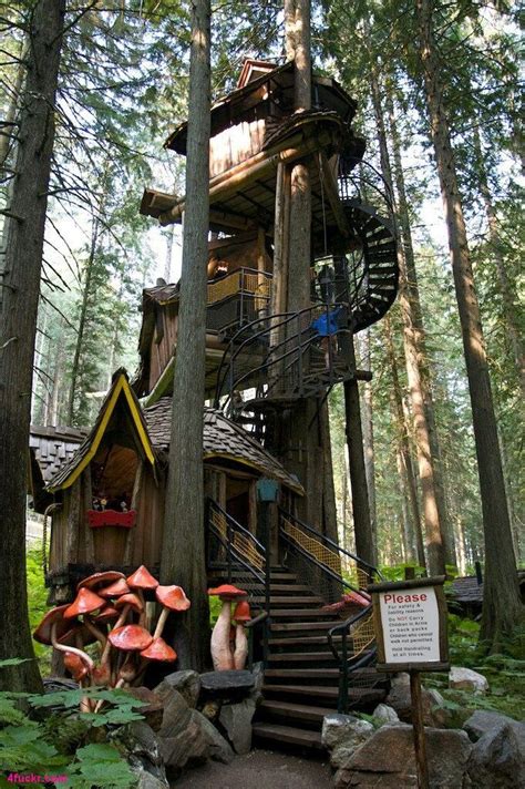 Pin By H W M On Home Sweet Home Tree House Cool Tree Houses Tree