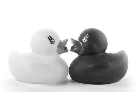 Kissing Ducks Photograph By Fl Collection