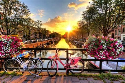 amsterdam in summer a little guide for a thrilling vacay in 2023