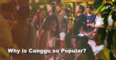 Why Is Canggu So Popular A Closer Look At Its Popularity Woods Bali