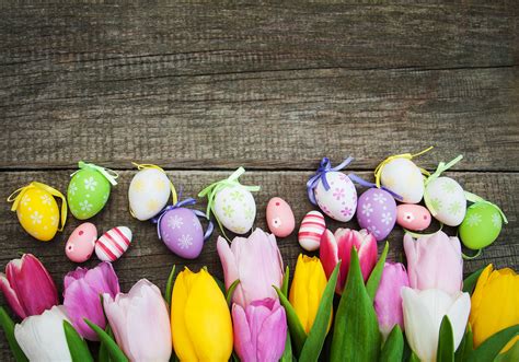 Colorful Easter Eggs And Tulips
