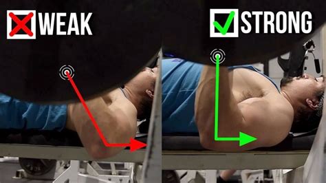 Chest Press Vs Bench Press What Are The Differences Which Is Better