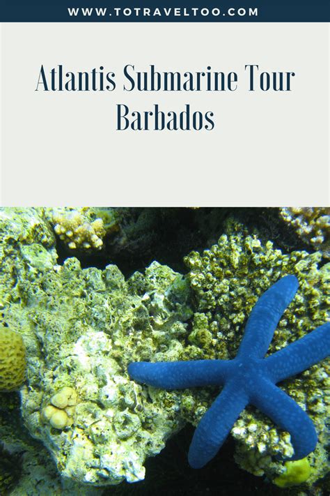 our guide on touring with atlantis submarines in barbados on a night time dive travel