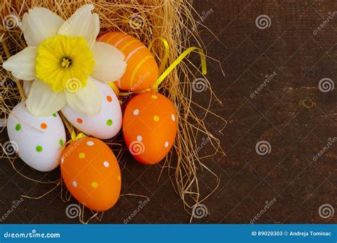 Daffodil And Easter Eggs Stock Image Image Of Easter 89020303