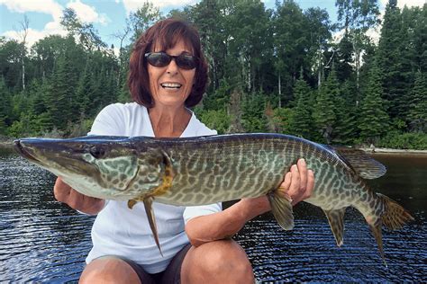 Usually found in shallow, weedy lakes and rivers with log jams and fallen timber, muskellunge retreat into deeper water during the heat of the summer. Can You Eat Muskie Fish? All You Need To Know