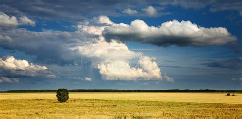 Landscape With Cloudy Sky Stock Photo Image Of Grassland 3613874