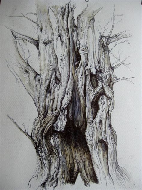 Biro Enchanted Tree Tree Drawing Tree Sketches Tree Drawings Pencil