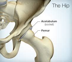 Are Hip Mechanics Important For Knee Pain Core Omaha Explains C O