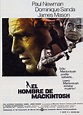 El hombre de MacKintosh (The MacKintosh Man) (1973)