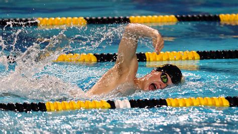 Mens And Womens Swim And Dive Victorious On Senior Night Posted On