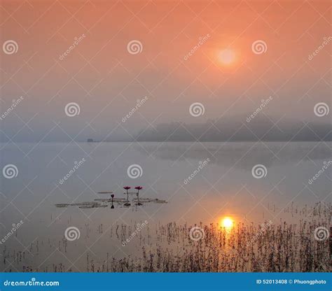 Fog Over The Lake At Sunrise Stock Photo Image Of Light Close 52013408