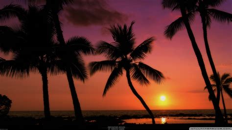 🔥 39 Tropical Beach Sunset Wallpaper Desktop Wallpapersafari